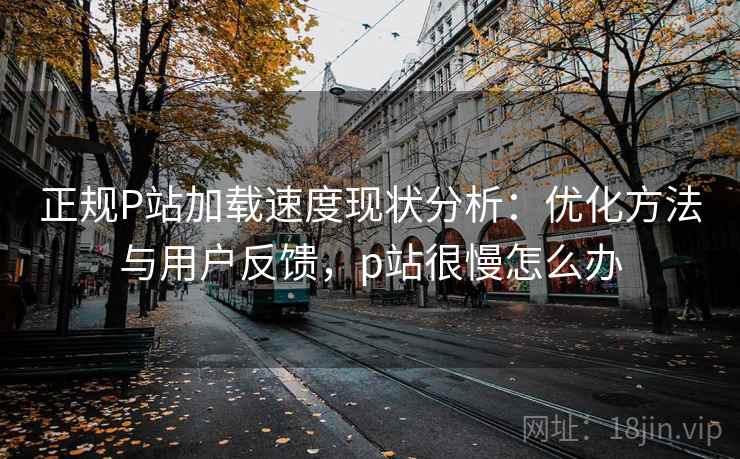 正规P站加载速度现状分析：优化方法与用户反馈，p站很慢怎么办