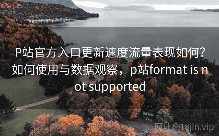 P站官方入口更新速度流量表现如何？如何使用与数据观察，p站format is not supported