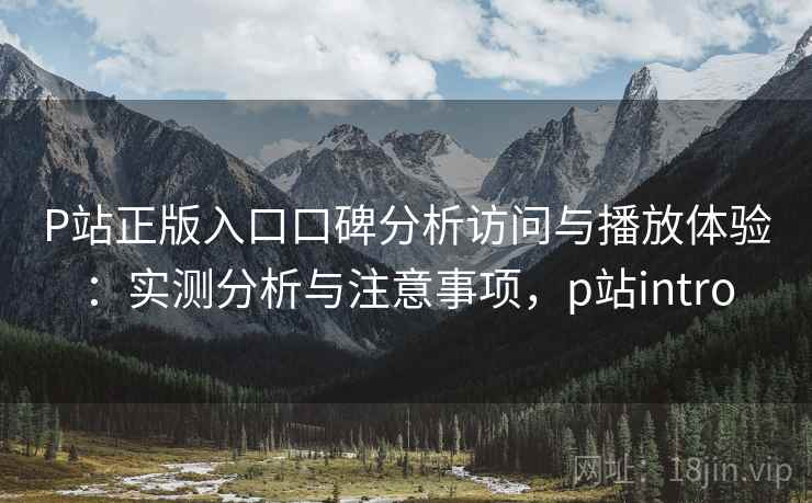P站正版入口口碑分析访问与播放体验：实测分析与注意事项，p站intro