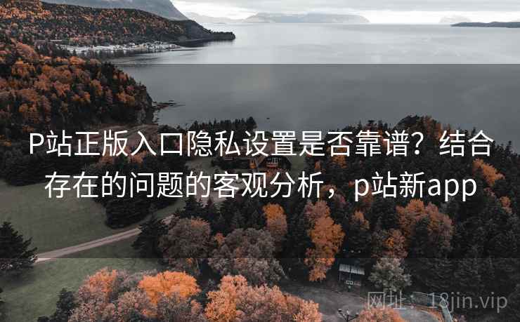 P站正版入口隐私设置是否靠谱?结合存在的问题的客观分析,p站新app P站正版入口隐私设置是否靠谱?结合存在的问题的客观分析,p站新app