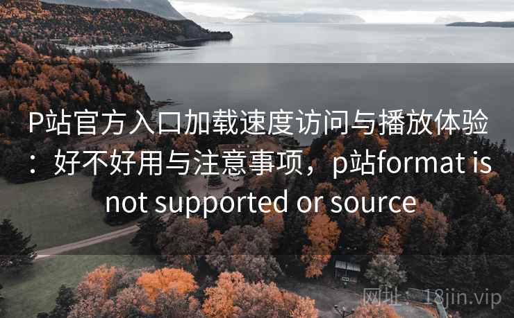 P站官方入口加载速度访问与播放体验：好不好用与注意事项，p站format is not supported or source