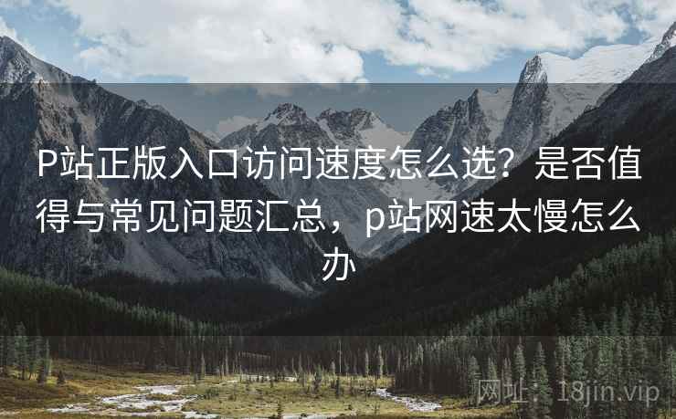 P站正版入口访问速度怎么选？是否值得与常见问题汇总，p站网速太慢怎么办