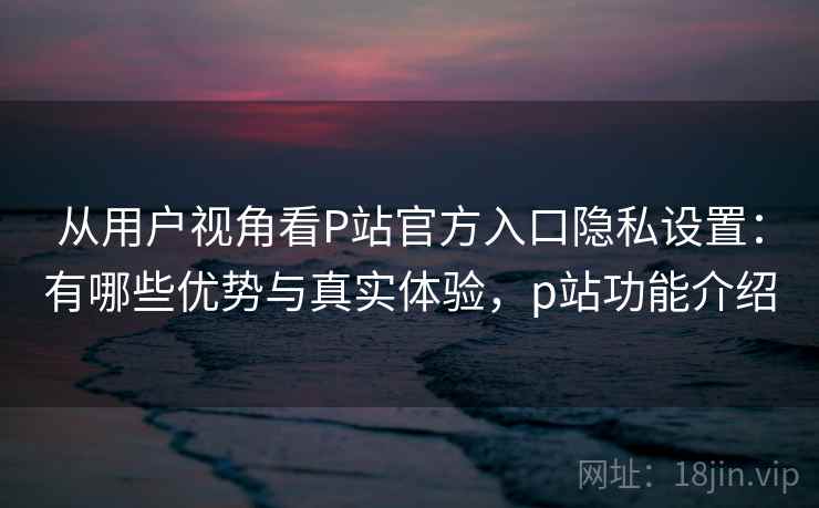 从用户视角看P站官方入口隐私设置：有哪些优势与真实体验，p站功能介绍