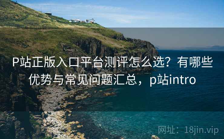 P站正版入口平台测评怎么选？有哪些优势与常见问题汇总，p站intro