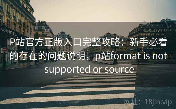 P站官方正版入口完整攻略：新手必看的存在的问题说明，p站format is not supported or source