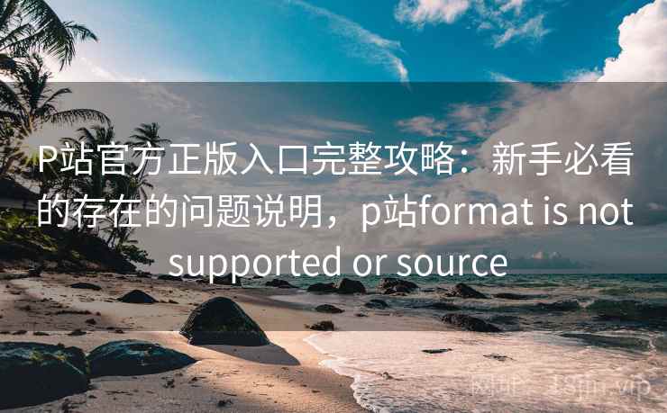 P站官方正版入口完整攻略：新手必看的存在的问题说明，p站format is not supported or source