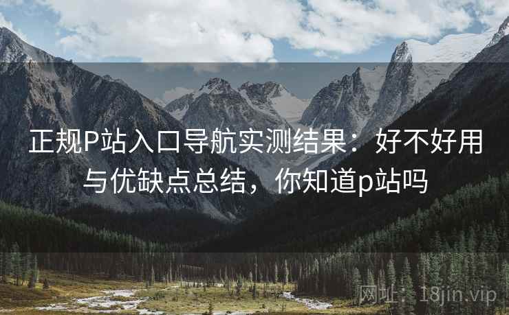 正规P站入口导航实测结果：好不好用与优缺点总结，你知道p站吗