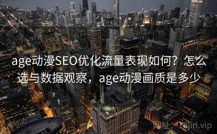 age动漫SEO优化流量表现如何？怎么选与数据观察，age动漫画质是多少