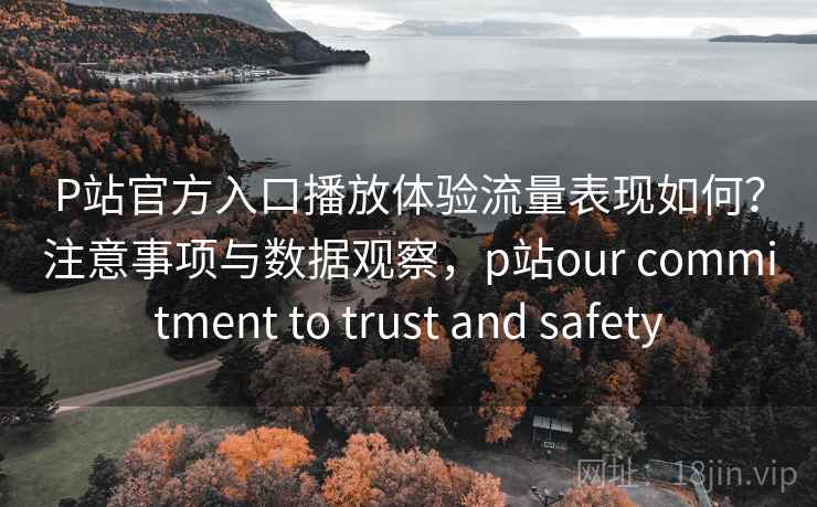 P站官方入口播放体验流量表现如何？注意事项与数据观察，p站our commitment to trust and safety