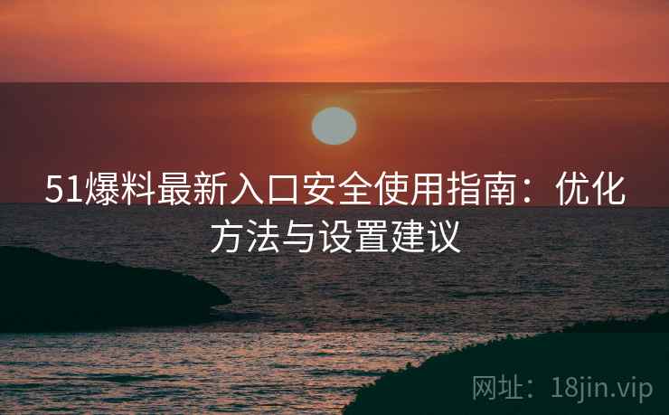 51爆料最新入口安全使用指南：优化方法与设置建议