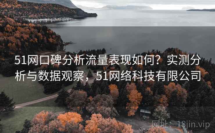 51网口碑分析流量表现如何？实测分析与数据观察，51网络科技有限公司