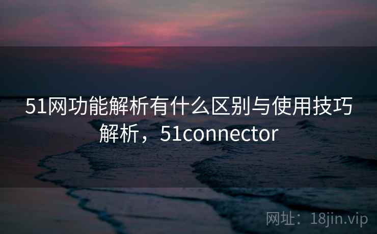 51网功能解析有什么区别与使用技巧解析，51connector