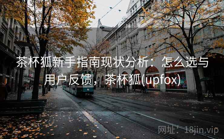 茶杯狐新手指南现状分析：怎么选与用户反馈，茶杯狐(upfox)