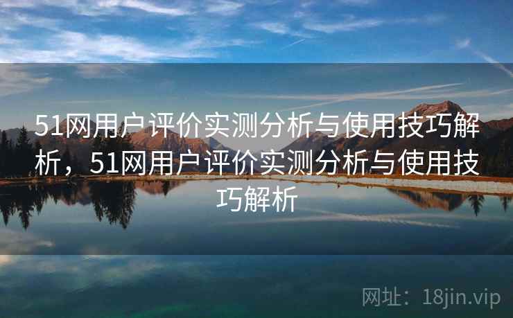 51网用户评价实测分析与使用技巧解析，51网用户评价实测分析与使用技巧解析