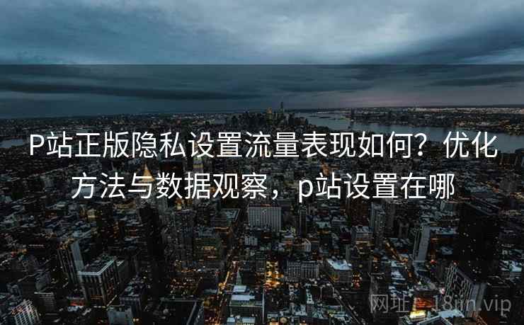 P站正版隐私设置流量表现如何？优化方法与数据观察，p站设置在哪