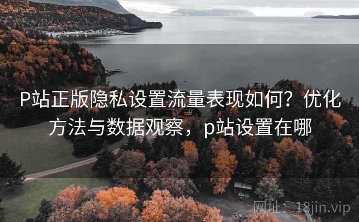 P站正版隐私设置流量表现如何？优化方法与数据观察，p站设置在哪