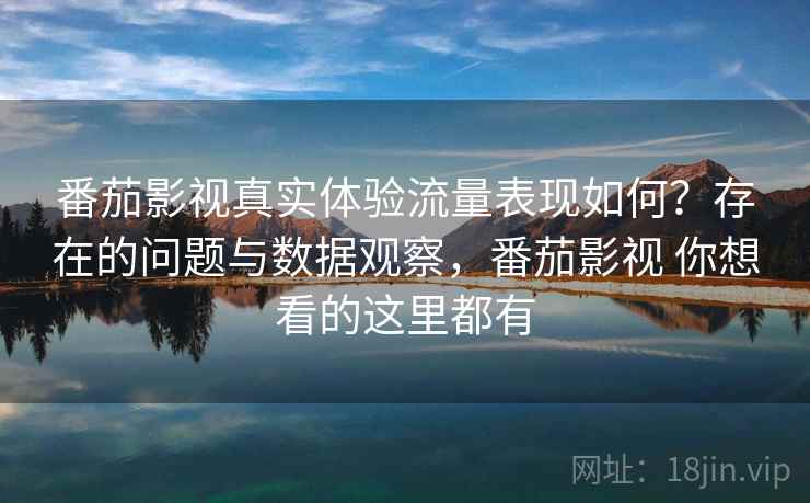 番茄影视真实体验流量表现如何？存在的问题与数据观察，番茄影视 你想看的这里都有