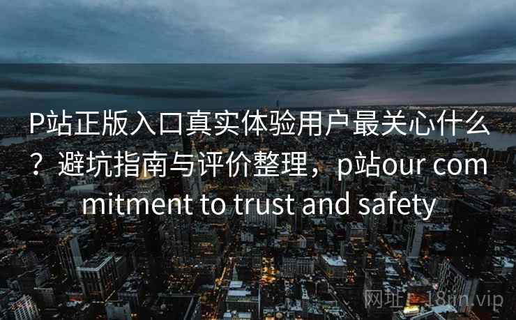 P站正版入口真实体验用户最关心什么？避坑指南与评价整理，p站our commitment to trust and safety