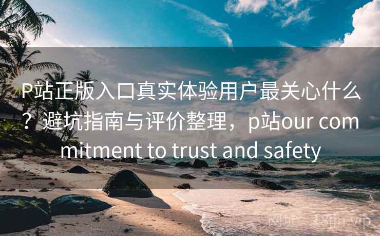 P站正版入口真实体验用户最关心什么？避坑指南与评价整理，p站our commitment to trust and safety