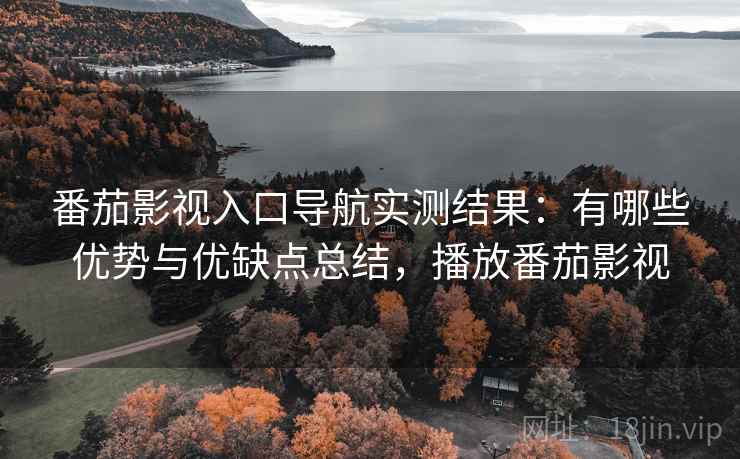 番茄影视入口导航实测结果：有哪些优势与优缺点总结，播放番茄影视