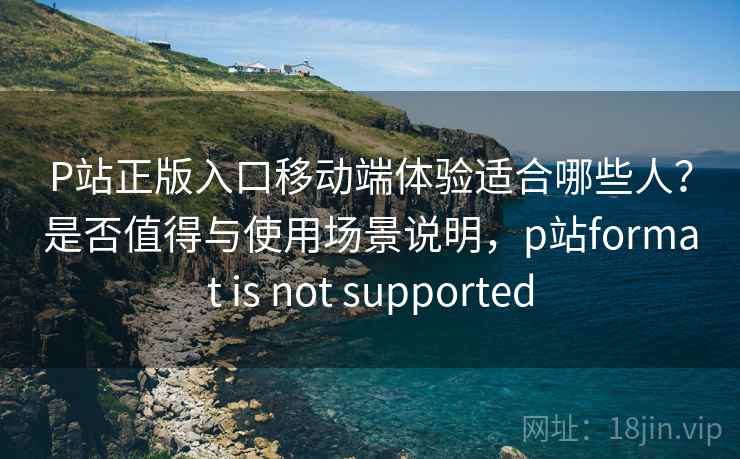 P站正版入口移动端体验适合哪些人？是否值得与使用场景说明，p站format is not supported