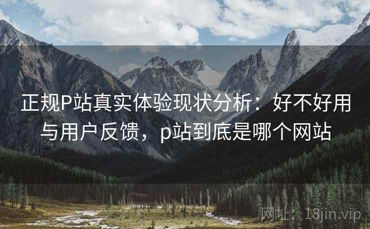 正规P站真实体验现状分析：好不好用与用户反馈，p站到底是哪个网站