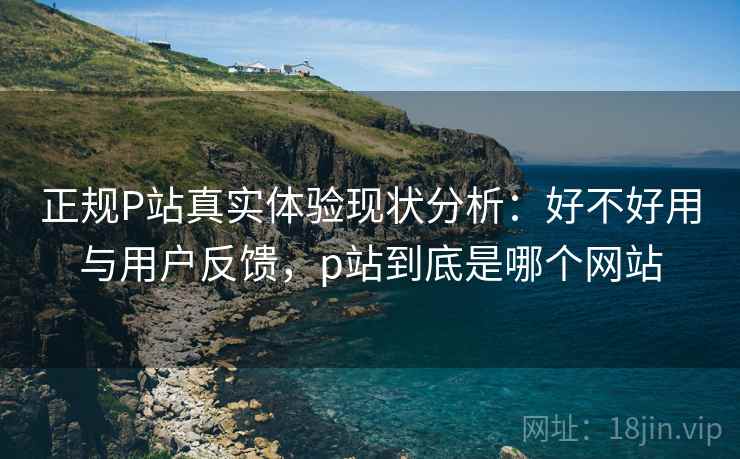 正规P站真实体验现状分析：好不好用与用户反馈，p站到底是哪个网站