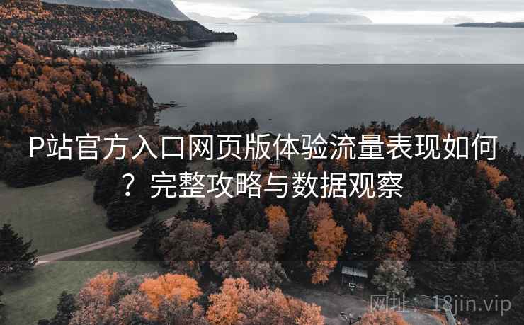 P站官方入口网页版体验流量表现如何？完整攻略与数据观察