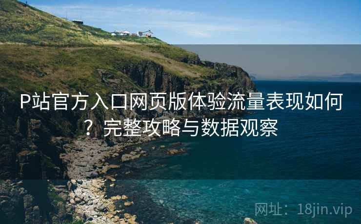 P站官方入口网页版体验流量表现如何？完整攻略与数据观察