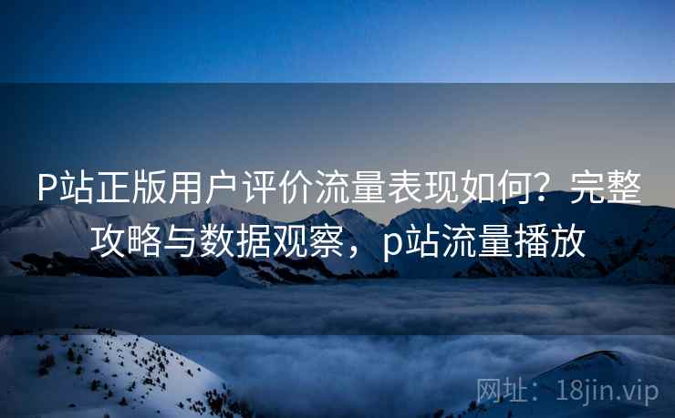 P站正版用户评价流量表现如何?完整攻略与数据观察,p站流量播放 P站正版用户评价流量表现如何?完整攻略与数据观察,p站流量播放