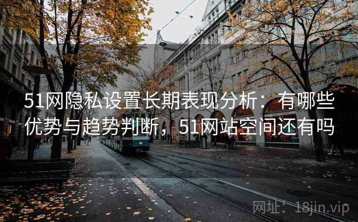 51网隐私设置长期表现分析：有哪些优势与趋势判断，51网站空间还有吗