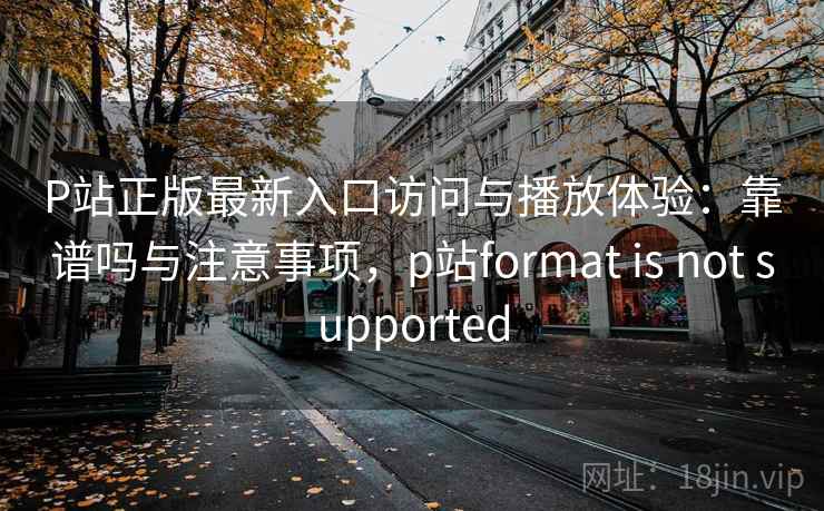 P站正版最新入口访问与播放体验：靠谱吗与注意事项，p站format is not supported