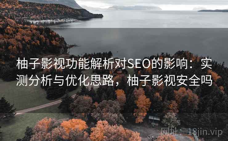 柚子影视功能解析对SEO的影响：实测分析与优化思路，柚子影视安全吗