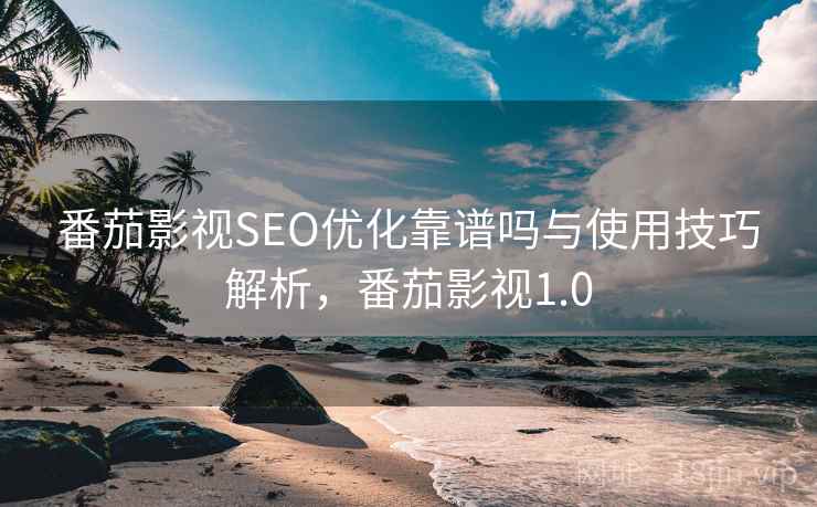 番茄影视SEO优化靠谱吗与使用技巧解析，番茄影视1.0