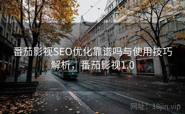 番茄影视SEO优化靠谱吗与使用技巧解析，番茄影视1.0