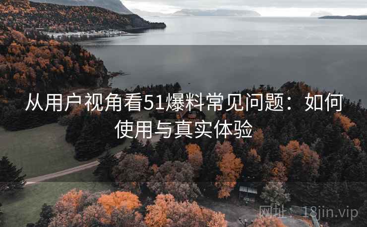 从用户视角看51爆料常见问题：如何使用与真实体验