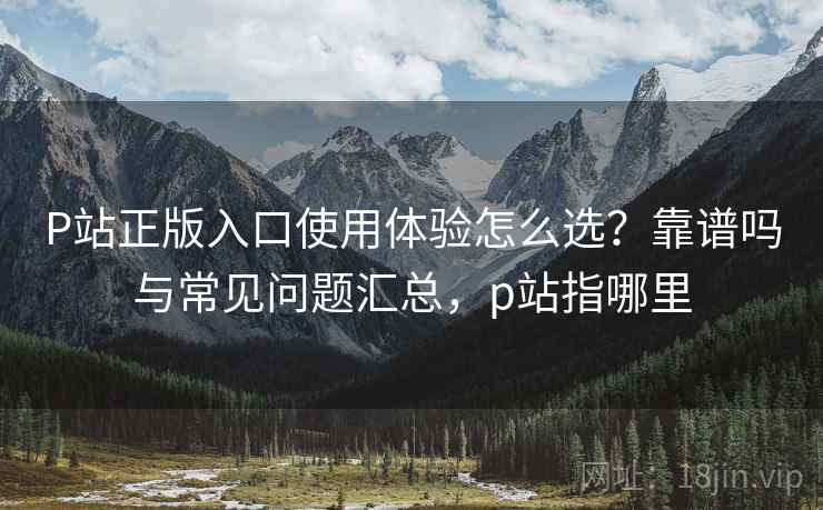 P站正版入口使用体验怎么选？靠谱吗与常见问题汇总，p站指哪里