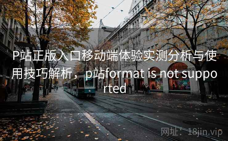 P站正版入口移动端体验实测分析与使用技巧解析，p站format is not supported