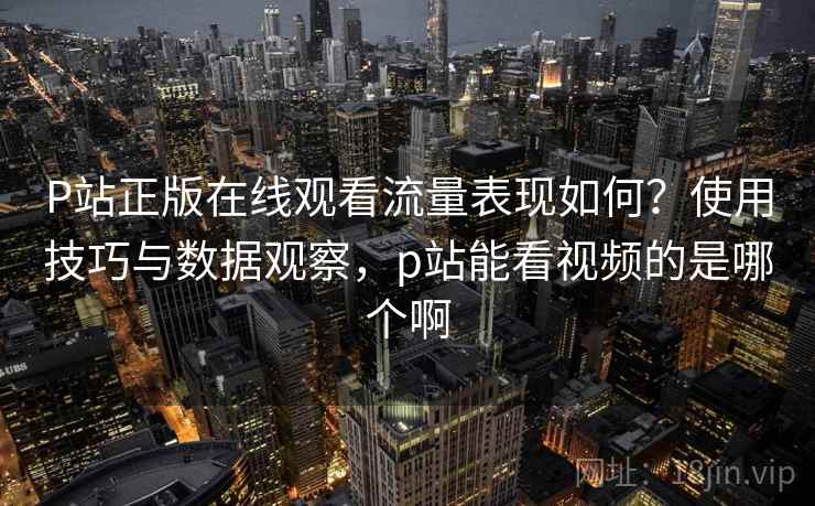 P站正版在线观看流量表现如何？使用技巧与数据观察，p站能看视频的是哪个啊