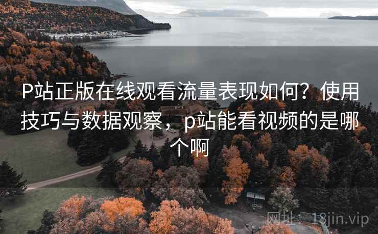 P站正版在线观看流量表现如何？使用技巧与数据观察，p站能看视频的是哪个啊