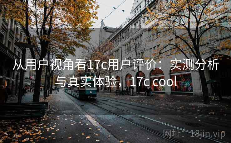 从用户视角看17c用户评价：实测分析与真实体验，17c cool