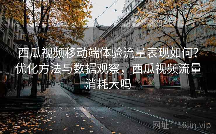 西瓜视频移动端体验流量表现如何？优化方法与数据观察，西瓜视频流量消耗大吗