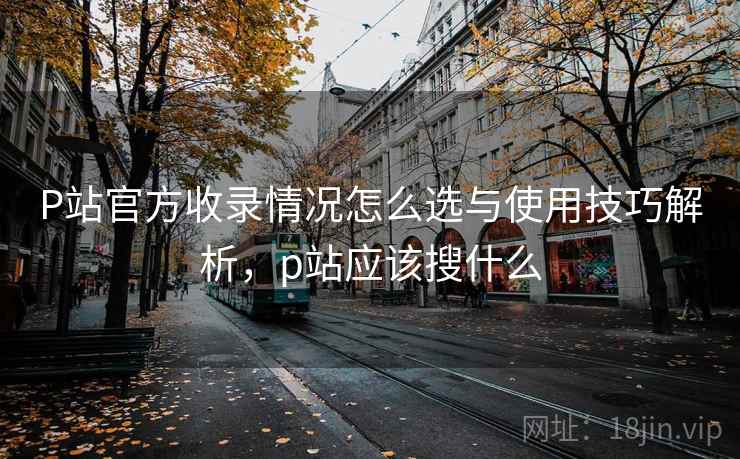 P站官方收录情况怎么选与使用技巧解析，p站应该搜什么