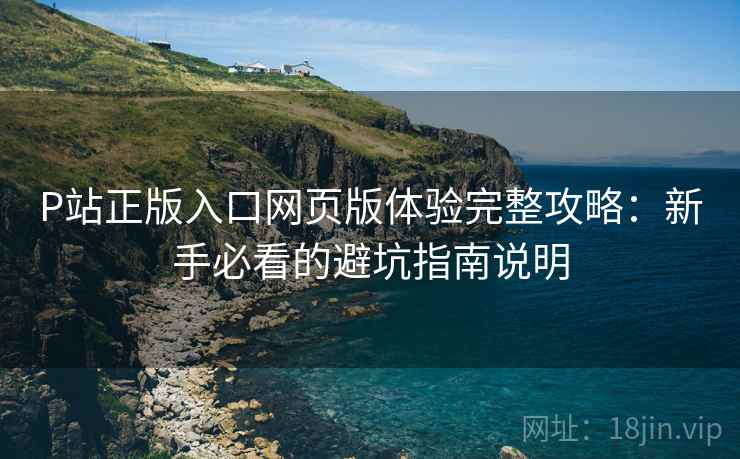 P站正版入口网页版体验完整攻略：新手必看的避坑指南说明