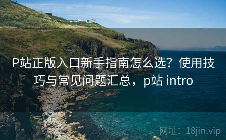P站正版入口新手指南怎么选?使用技巧与常见问题汇总,p站 intro P站正版入口新手指南怎么选?使用技巧与常见问题汇总,p站 intro